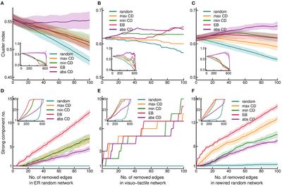 Network Path Convergence Shapes Low-Level Processing in the Visual Cortex